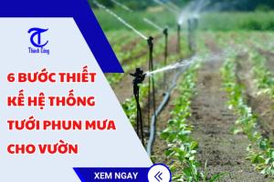 Top 6 bước thiết kế hệ thống tưới phun mưa cho vườn