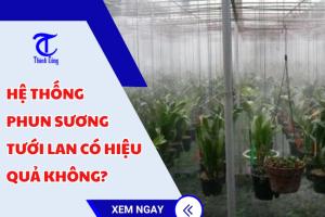 Hệ thống phun sương tưới lan có hiệu quả không?