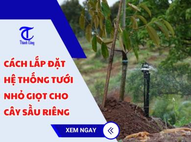 Cách lắp đặt hệ thống tưới nhỏ giọt cho cây sầu riêng