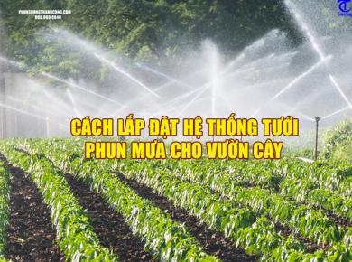 Cách lắp đặt hệ thống tưới phun mưa cho vườn cây