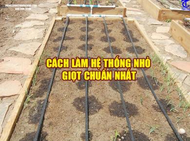 Hướng dẫn cách làm hệ thống tưới nhỏ giọt 