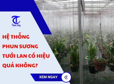 Hệ thống phun sương tưới lan có hiệu quả không?