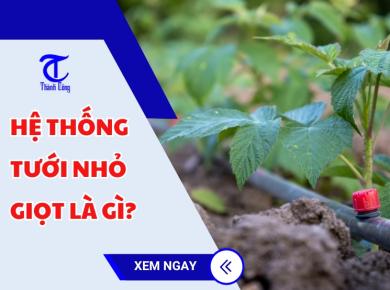 Hệ thống tưới nhỏ giọt là gì?