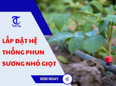 Lắp đặt hệ thống phun sương nhỏ giọt