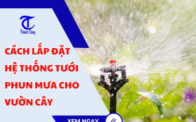 Cách lắp đặt hệ thống tưới phun mưa cho vườn cây