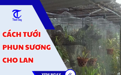 Cách tưới phun sương cho lan