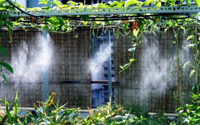 Vườn cây Củ Chi