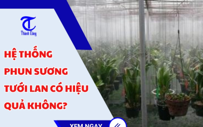 Hệ thống phun sương tưới lan có hiệu quả không?
