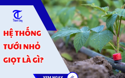 Hệ thống tưới nhỏ giọt là gì?