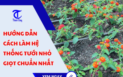 Hướng dẫn cách làm hệ thống tưới nhỏ giọt 