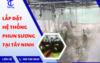 Lắp đặt hệ thống phun sương tại Tây Ninh