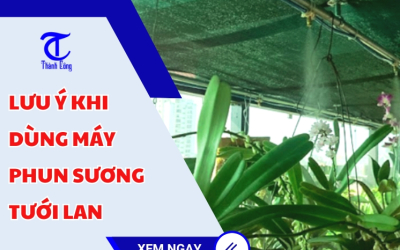 Lưu ý khi dùng máy phun sương tưới lan