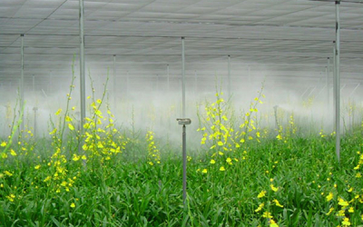 Tầm quan trọng của máy phun sương tạo ẩm 