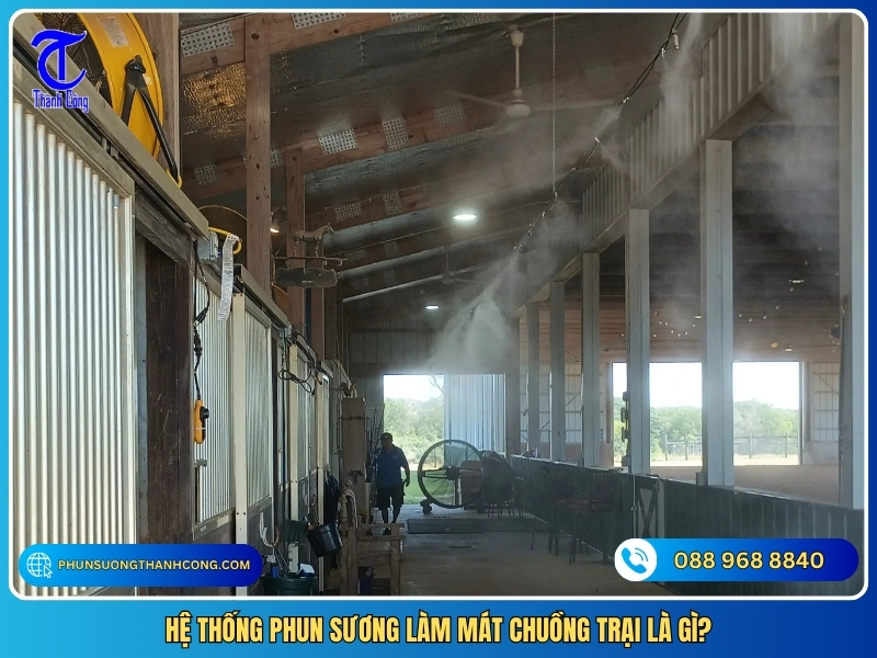 he thong phun suong lam mat chuong trai la gi