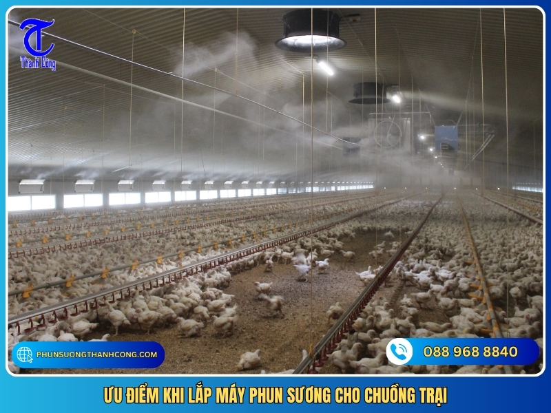 uu diem khi lap may phun suong cho chuong trai
