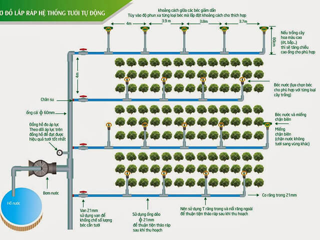 quy trình lắp đặt hệ thống tưới phun sương nhỏ giọt