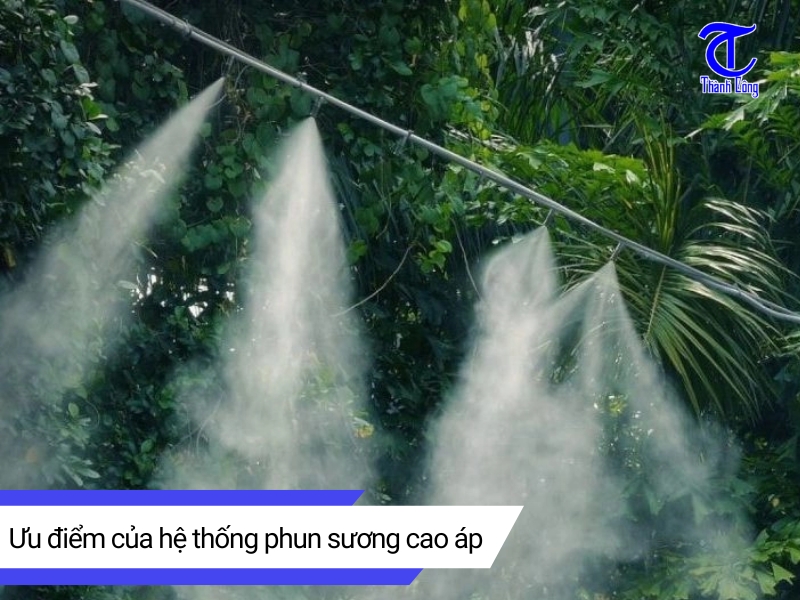 Uu diem cua he thong phun suong cao ap