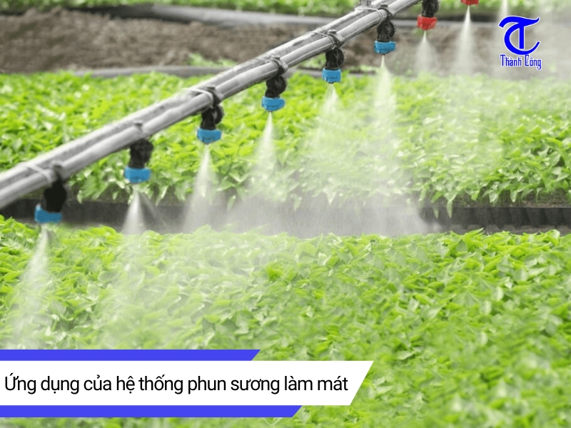 Ung dung cua he thong phun suong lam mat