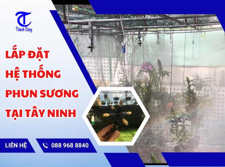 lap dat he thong phun suong tai tay ninh
